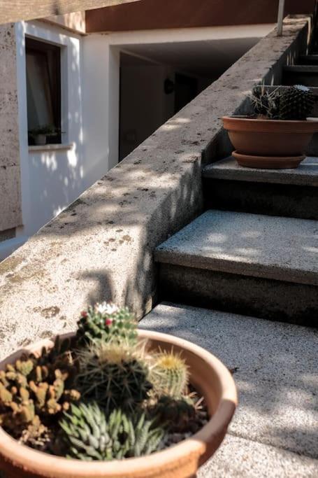Appartamento Cozy Hideout Bled Esterno foto